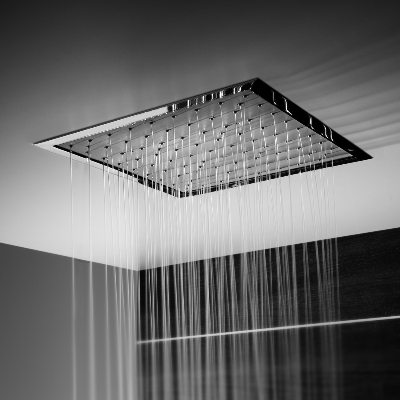 ceiling shower head