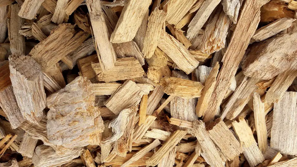 Wood Chips