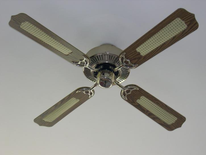 Ceiling fan