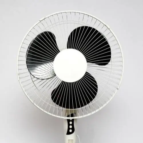 Image of a pedestal fan