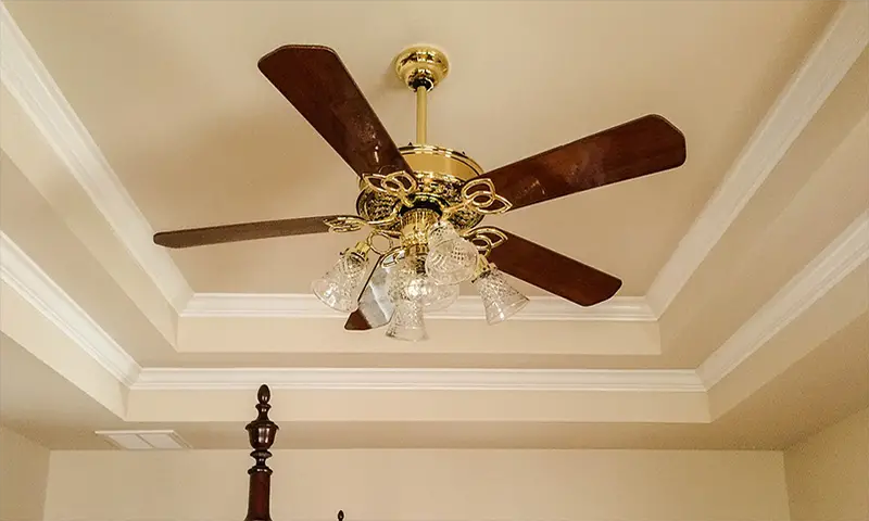 Which Type of Fan Should I Use