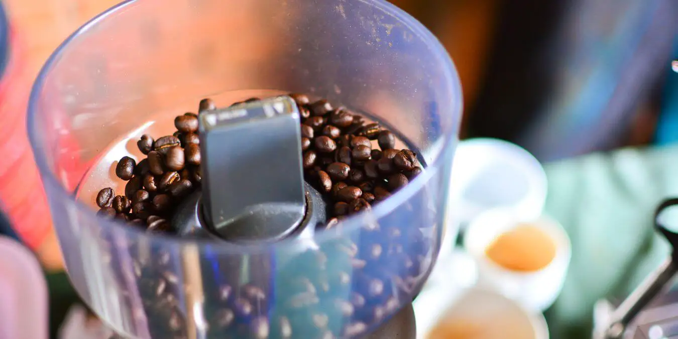 coffee beans in a grinder