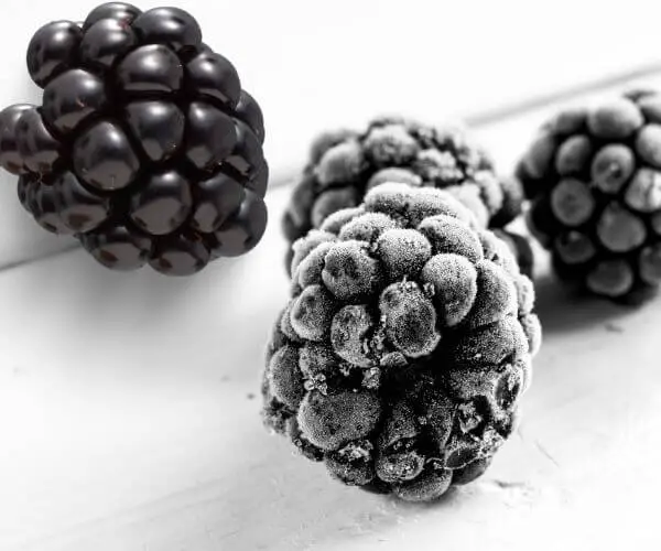 frozen blackberries vs fresh blackberries