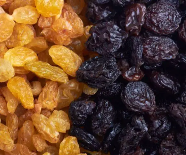 raisins are an excellent substitute for currants
