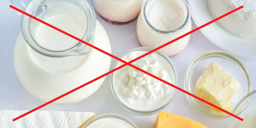When you are out of yogurt or can't eat dairy, there are alternatives. This image shows dairy products with a red X through them to indicate there are dairy free options available.