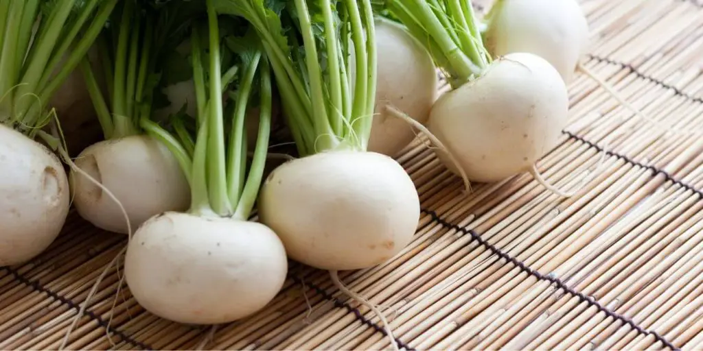 Turnips can be used in place of water chestnuts