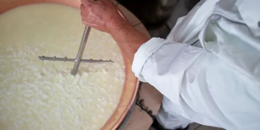 image of man processing a vat of cottage cheese.