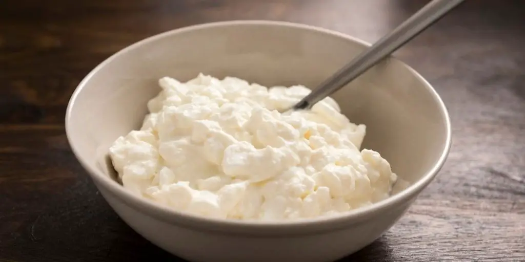 close up of a bowl of cottage cheese. Curds are created with the help of good bacteria.