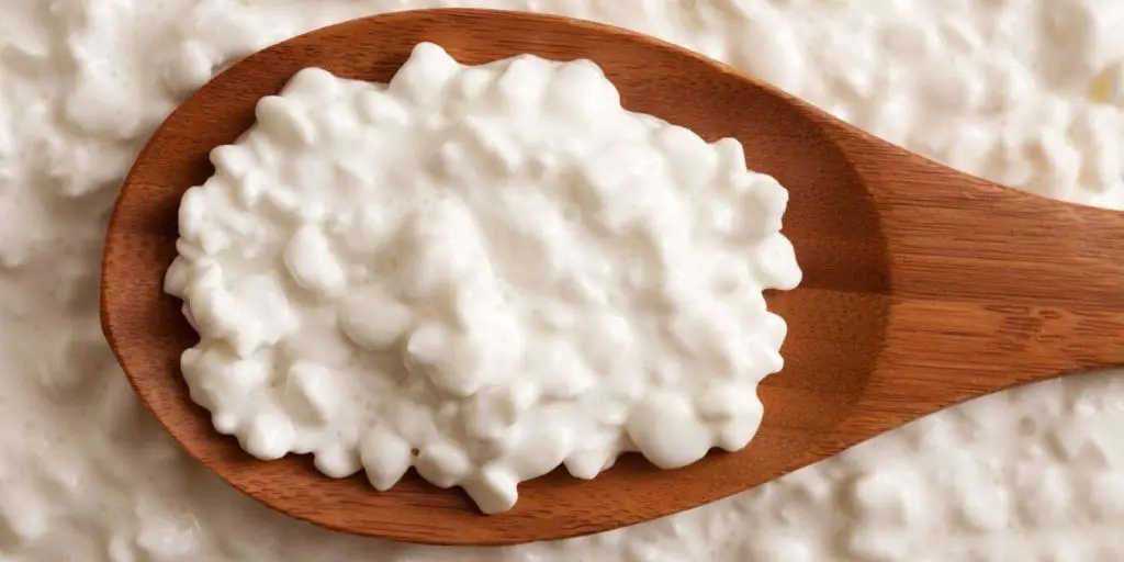 a close up spoon of cottage cheese. wet cottage cheese that most Americans eat has a creamy texture.