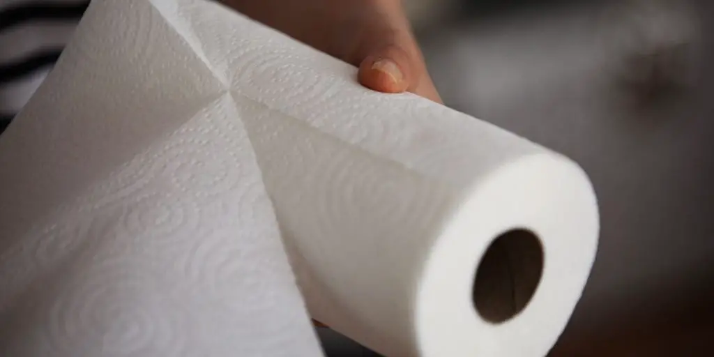 paper towel can be a substitute for coffee filters.
